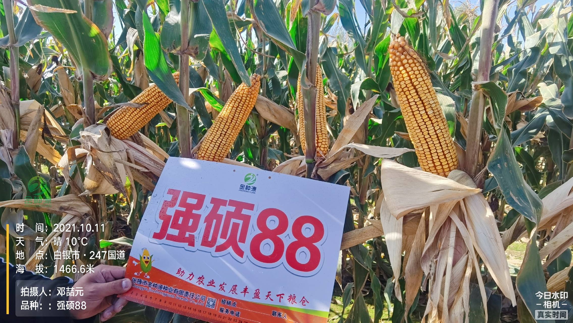 强硕88