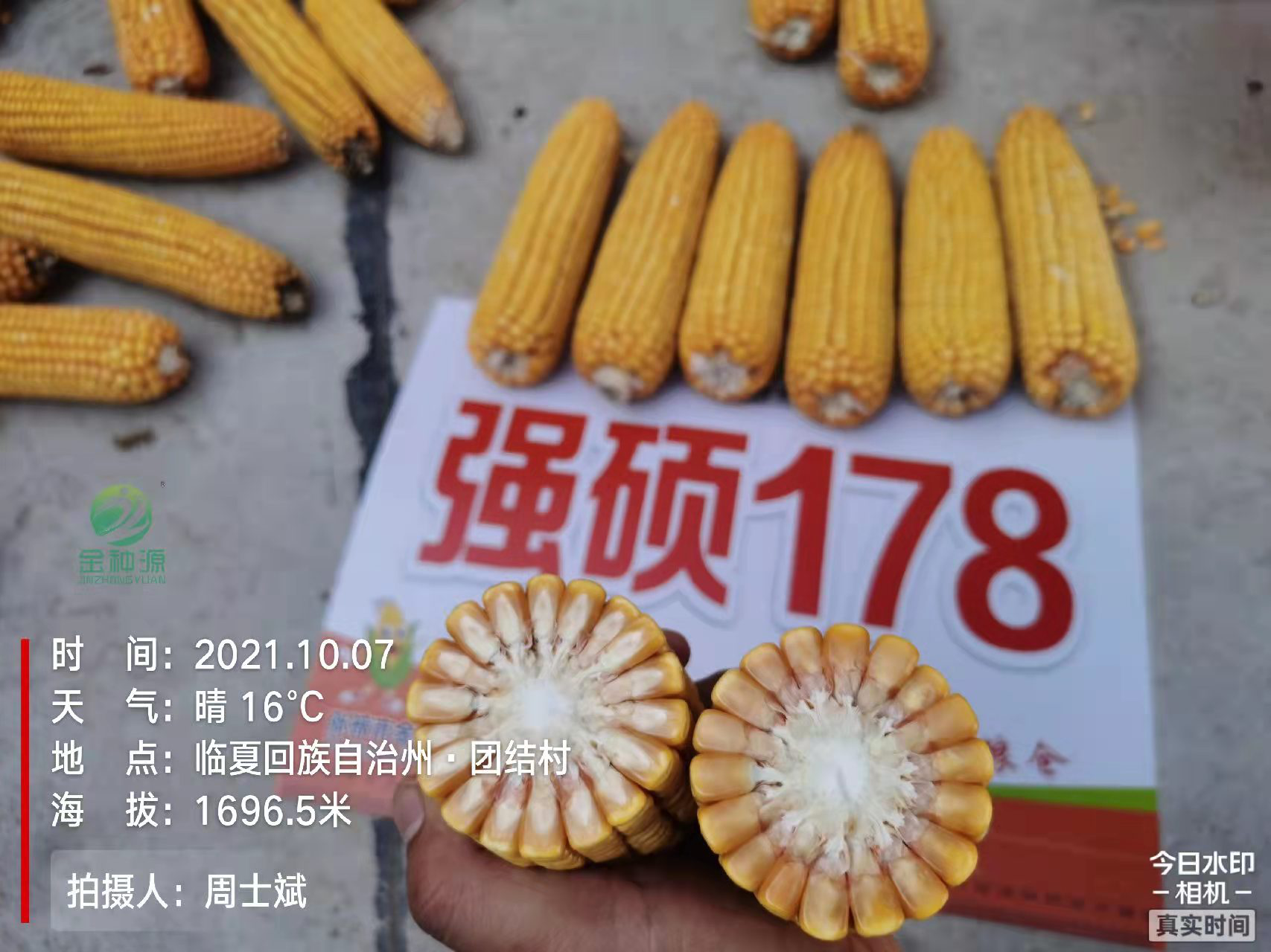 强硕178
