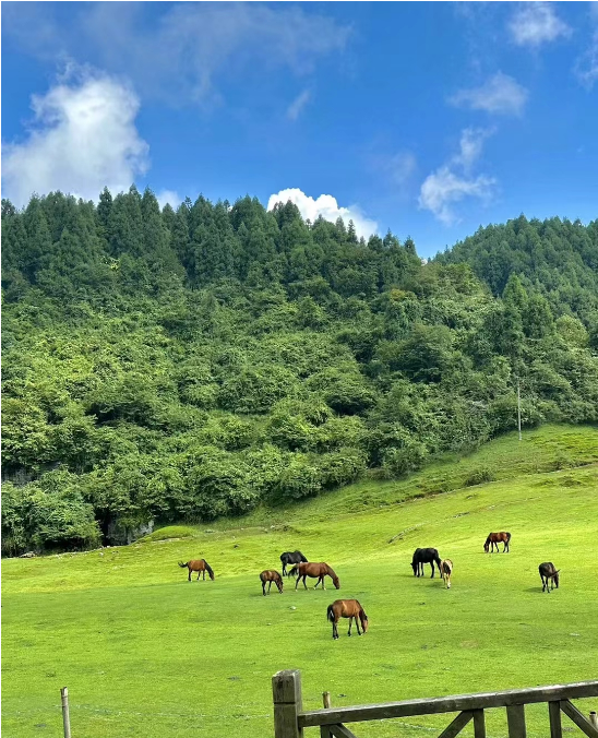 金种源大家庭-麻辣烫之旅