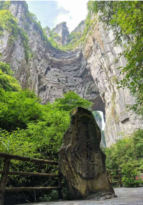 金种源大家庭-麻辣烫之旅