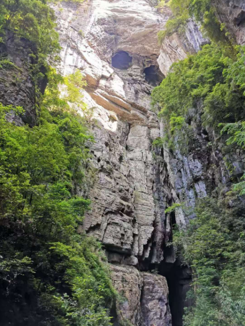 金种源大家庭-麻辣烫之旅
