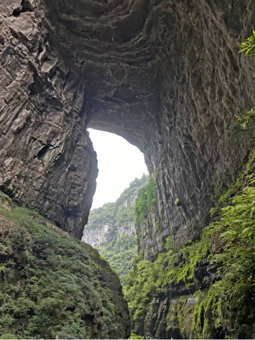 金种源大家庭-麻辣烫之旅