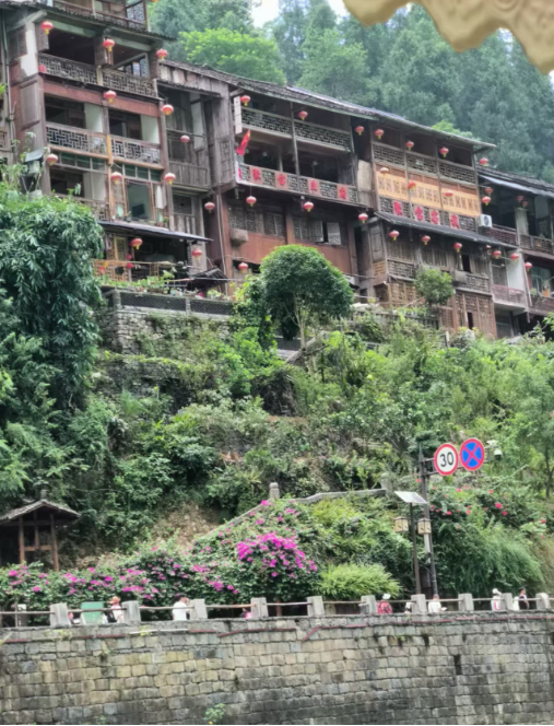 金种源大家庭-麻辣烫之旅