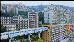 金种源大家庭-麻辣烫之旅